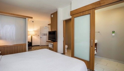 Suite, 1 cama de matrimonio grande con sofá cama