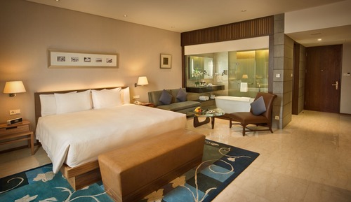 Habitación ejecutiva, 1 cama de matrimonio grande, acceso al Business Lounge