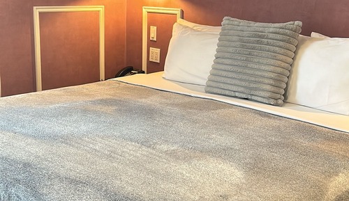 Suite Deluxe, 1 cama de matrimonio grande con sofá cama