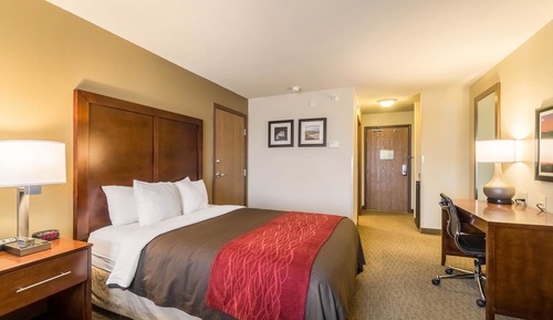 Habitación estándar, 1 cama de matrimonio grande, no fumadores