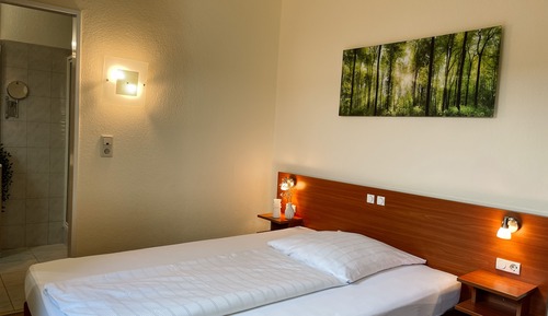 Habitación individual Confort