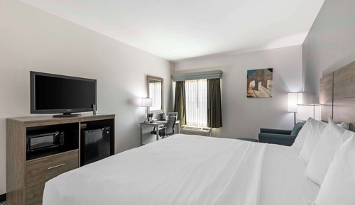 Habitación estándar, 1 cama de matrimonio grande, no fumadores, frigorífico y microondas