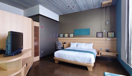 Habitación estándar, 1 cama de matrimonio grande (Roll-In Shower)