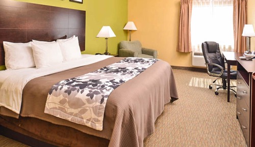 Habitación, 1 cama de matrimonio grande, accesible para personas con discapacidad, no fumadores