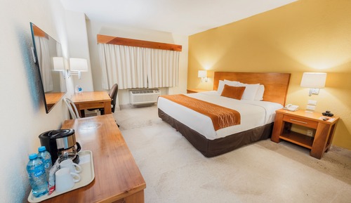 Habitación estándar, 1 cama de matrimonio grande