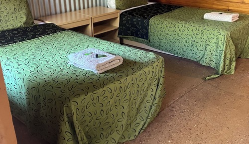 Habitación básica con 2 camas individuales