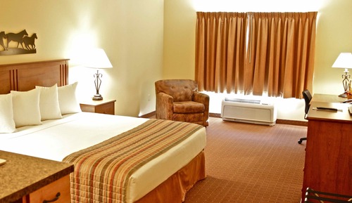 Habitación estándar, 1 cama de matrimonio grande
