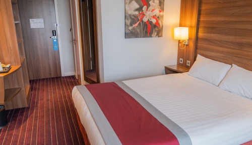 Habitación, 1 cama doble, accesible para personas con discapacidad
