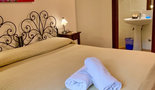 Habitación básica con 1 cama doble o 2 individuales