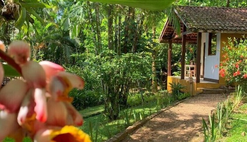 Bungalow (Special )