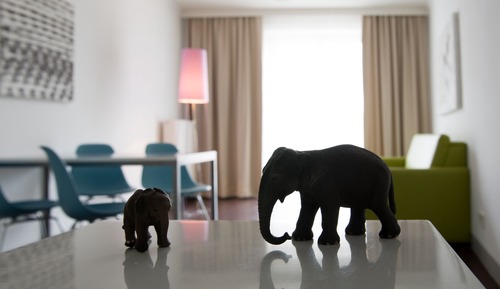 Apartamento, 1 habitación, balcón (Elephant)