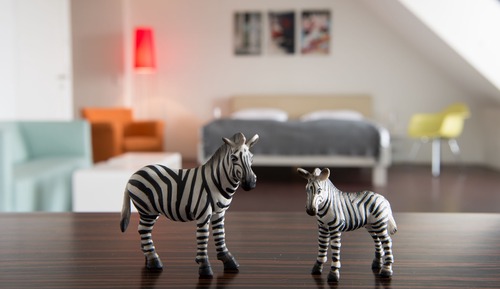 Ático, terraza, vistas a la ciudad (Zebra)