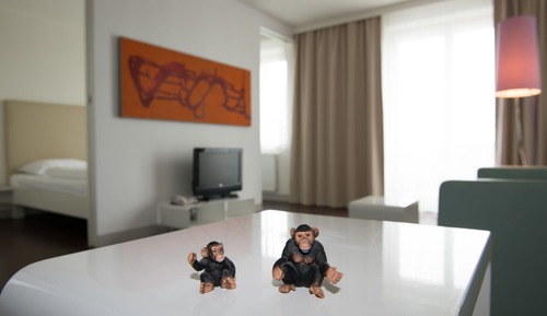 Habitación doble (Monkey)