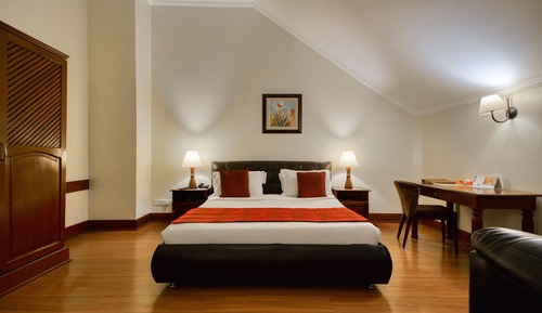 Suite estudio Deluxe
