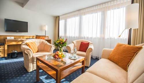 Habitación panorámica (ohne Balkon)