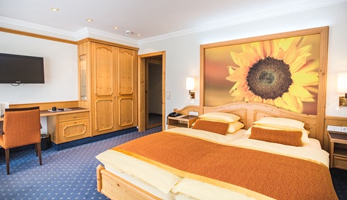 Habitación clásica, 1 cama de matrimonio grande