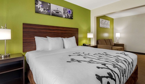 Suite, 1 cama de matrimonio grande con sofá cama, no fumadores