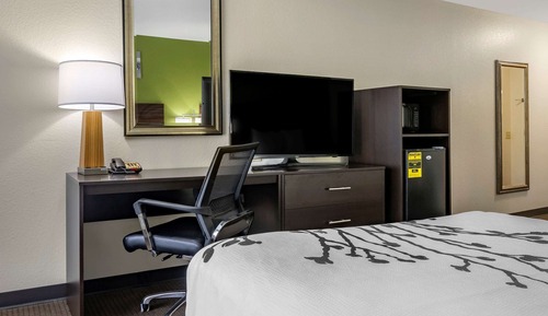 Habitación estándar, 1 cama de matrimonio grande, no fumadores