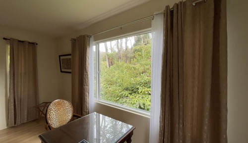 Habitación (Rainforest)