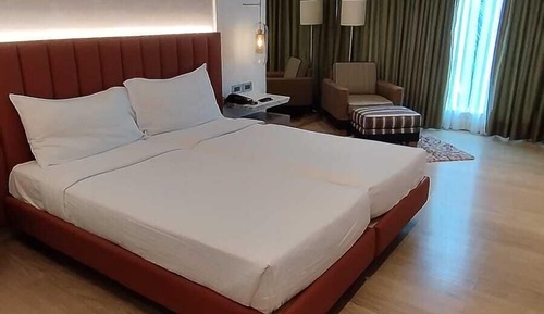 Habitación ejecutiva con 2 camas individuales