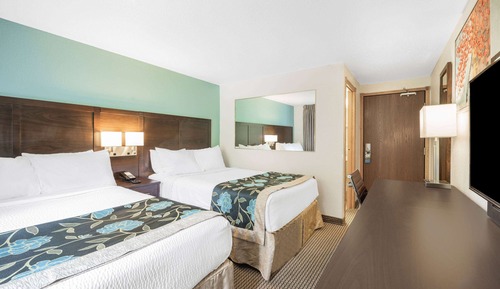 Suite estudio, 2 camas de matrimonio, no fumadores (Mount Rushmore View)