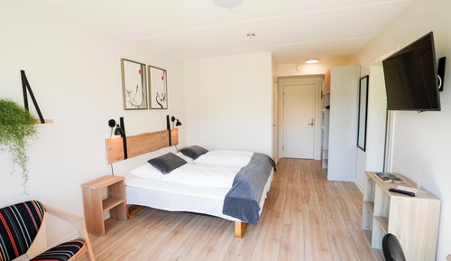 Habitación cuádruple Confort
