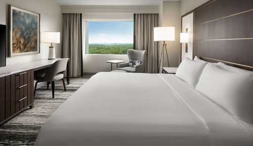 Room, 1 King Bed, Allergy Friendly