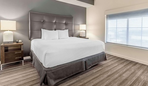 Suite estudio, 1 cama de matrimonio grande con sofá cama, bañera (Accessible)