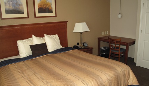 Suite, 1 habitación
