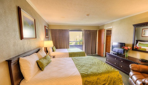 Suite Premier