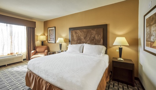 Habitación estándar, 1 cama de matrimonio grande