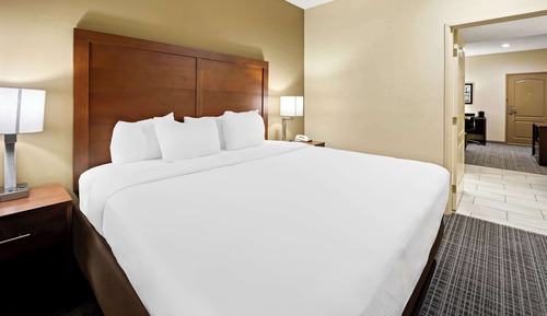 Suite, 1 cama de matrimonio grande, no fumadores