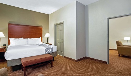 Suite Deluxe, 1 cama de matrimonio grande, no fumadores