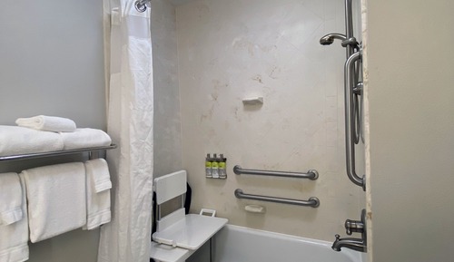 Habitación estándar, 1 cama de matrimonio grande (Communications, Roll-In Shower)