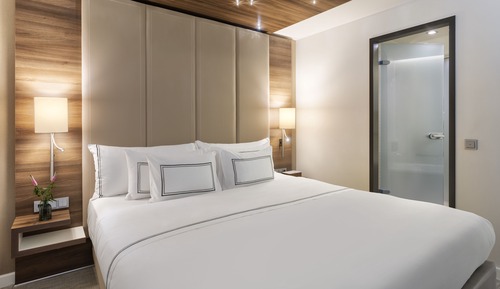 The Level Executive Suite with Lounge Access