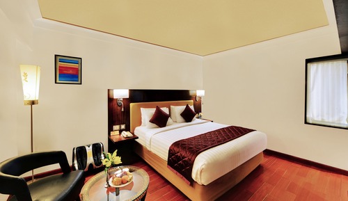 Habitación Club (Iris)