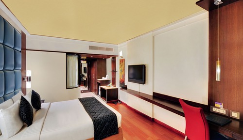 Habitación (Blue Ribbon)