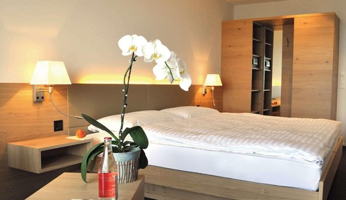 Habitación Deluxe, 1 cama de matrimonio, balcón, vistas al lago