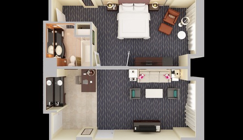 1 Bedroom Suite - 1 King Bed