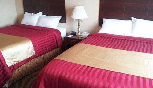 Habitación estándar, 2 camas de matrimonio, no fumadores