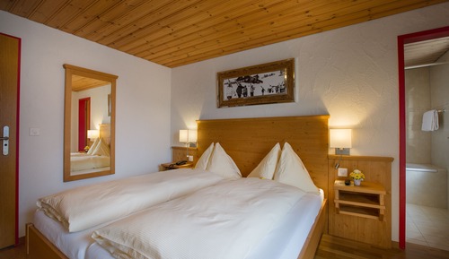 Habitación estándar doble (Panorama)