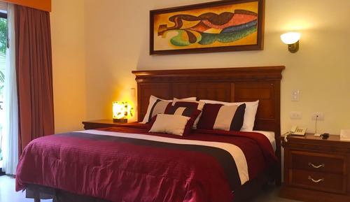 Deluxe Plus, 1 King Bed, Fridge, Bathtub