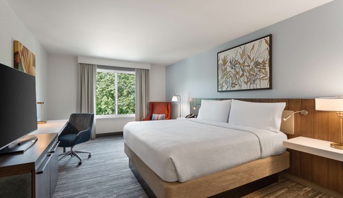 Habitación Deluxe, 1 cama de matrimonio grande