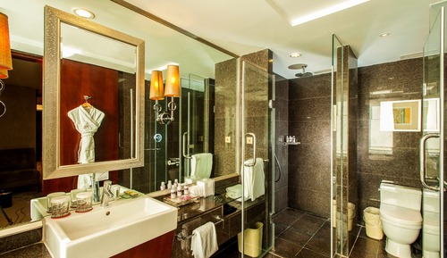 Suite presidencial, 1 cama individual