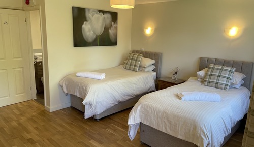Habitación clásica con 2 camas individuales