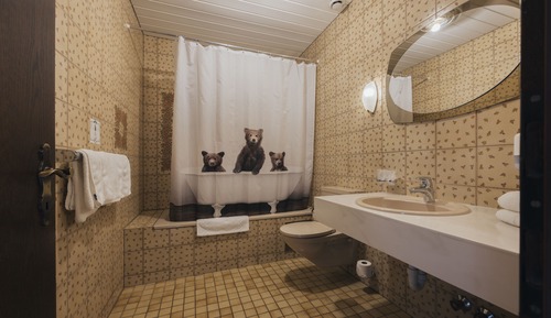 Habitación estándar doble, 1 habitación