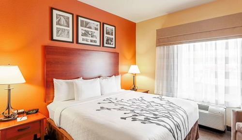 Habitación estándar, 1 cama de matrimonio grande, no fumadores