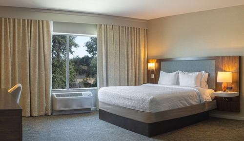 Suite, 1 cama de matrimonio grande con sofá cama
