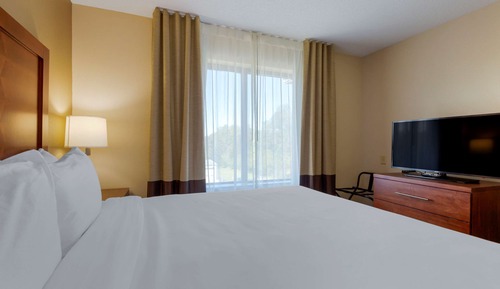 Suite, 1 cama de matrimonio grande con sofá cama, no fumadores
