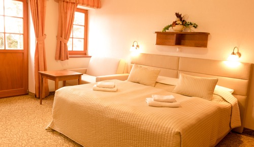 Habitación estándar (Standard Room, Extra Bed)